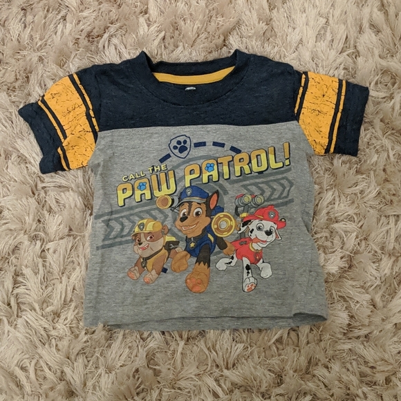 Paw Patrol Other - DONATING SOON